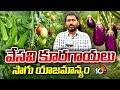 Summer Vegetables - Cultivation Management | వేసవి కూరగాయలు - సాగు యాజమాన్యం | Matti Manishi | 10TV
