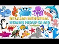 Belajar Mengenal Nama-Nama Hewan Hidup di Air Bahasa Indonesia \u0026 Bahasa Inggris Learn Water Animals