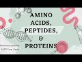 ASCP | MLS | MLT | Chemistry | Amino Acids, Peptides, \u0026 Proteins