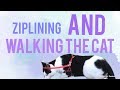 Day 20 || ziplining and walking the cat😂