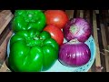Unique and easy onion and capsicum vegetable, you will be forced to lick your fingers. Onion Caps...