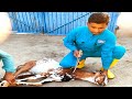 Bakra zibha karny ka tarika | Mutton cutting skills practic by pk Village food Secrets