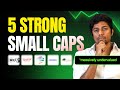 5 Small Caps with Potential Trading at Deep Discounts | Recovery Play for 2026?