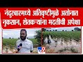 Nandurbar | नंदुरबारमध्ये अतिवृष्टीमुळे अतोनात नुकसान, शेतकऱ्यांना मदतीची अपेक्षा