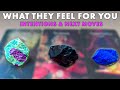 What They Feel for You 💜 Their Intentions  \u0026  Next Actions | Pick A Card • Tarot Reading • Timeless