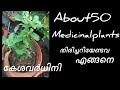 So many medicinal plants and their uses/medicinalplants malayalam/how to identify/usingdifferentways