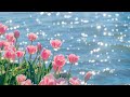 Beautiful Relaxing Peaceful Music🌺Healing Music For The Heart And Blood Vessels