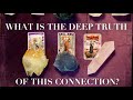 🦢🪷✨What is the DEEP TRUTH of this CONNECTION? 🎆 Pick a Card Tarot Oracle Timeless Love Reading✨🪷🦢
