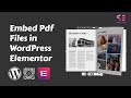 How to Embed PDF on Your WordPress Website - Elementor or Gutenberg