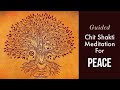 Powerful Guided Meditation for Peace by Sadhguru | Chit Shakti Meditation