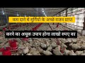 How to gain more weight with less feed, How to maintain FCR in broiler poultry farm