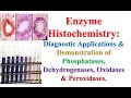 #Enzyme #Histochemistry: #Diagnostic #Applications \u0026 #Demonstration of #Phosphatases #Dehydrogenases