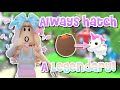The *SECRET* To Hatching a *LEGENDARY* From a Cracked Egg!🤫🤩 (Adopt Me)