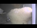 MVI 0207