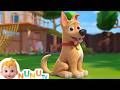 B.I.N.G.O | NuNu TV Nursery Rhymes \u0026 Kids Songs