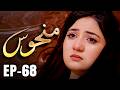 Manhoos – Episode 68 | Cursed Love, Dark Secrets | New Pakistani Drama