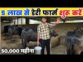 How to start a dairy farm in just Rs 5 lakh | Low budget Buffalo farming idea