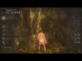 ELDEN RING | Golden Hippopotamus Level1 | Scadutree Blessing 0 [ No Damage ]