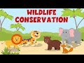 Animal Conservation Video - Wildlife Conservation - Learning Junction