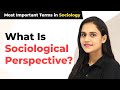 What Is Sociological Perspective? - Most Important Terms in Sociology