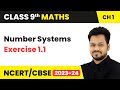 Number Systems - Exercise 1.1 | Class 9 Maths Chapter 1