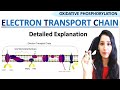 Oxidative Phosphorylation - Electron Transport Chain ETC \u0026 Chemiosmosis I CSIRNET GATE NEET IITJAM