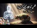 Nafs Ko Qaboo Kaise Kare | Nafs Kya Hai | Anbiya aur Auliya ka Nafs Kon Sa Hai | Sialvi TV