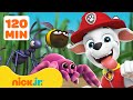 PAW Patrol Bug Rescues \u0026 Adventures! 🐝 2 Hours | Nick Jr.