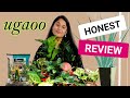 My experience with Ugaoo / My Go-to Plant Supply Store/Rare Indoor Plant \u0026 Soil #gardening @Ugaoo