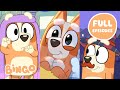 18 FULL EPISODES 🧡 ✨ | 2 HOURS of Bingo \u0026 Bluey Full Episodes 😯 | Bingo - Official Channel