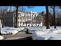 Harvard in Winter