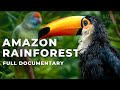 THE GREAT AMAZON | An Extraordinary Journey - Full Documentary