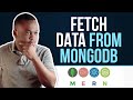 Get/fetch data from MongoDB and display them in Reactjs application