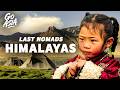 The Last Nomads of the Himalayas: Will Ladakh’s Children Keep the Tradition Alive? | Documentary AMP