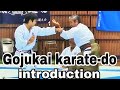 Gojukai karatedo introduction     #gojukai #karatedo #karateiintroduction
