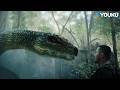 🐍Jungle giant serpent strikes in a sudden ambush! | Snake 3 | YOUKU MONSTER MOVIE