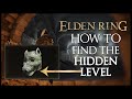 Minor Erdtree Catacombs HIDDEN Level | ELDEN RING