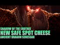 How to Beat Ancient Dragon Senessax Cheese - New Safe Spot | Elden Ring Shadow of the Erdtree DLC