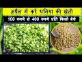 गर्मी में हरी धनिया की खेती से लाखों कमाए, सिर्फ 40 दिनों में।  dhaniya ki kheti | coriander Farming