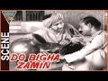 Do Bigha Zamin Hindi Movie || Balraj Nirupa Best Scene || Balraj Sahni, Nirupa || Eagle Hindi Movies
