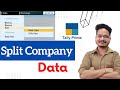How to Split company data in tally prime
