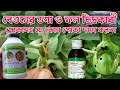 বেগুনের ডগা ও ফল ছিদ্রকারী পোকাসহ যে কোন পোকা দমন করুন মাত্র তিনটি কীটনাশক প্রয়োগ করে| বেগুন চাষ।