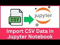 How to Load a CSV File in Jupyter Notebook | Import CSV in Jupyter Notebook