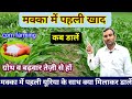 मक्का में पहला खाद कब व कोन सा डालें//मक्का की खेती//makka me pahla khad//makka ki paidavar