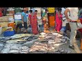 CST Mumbai￼   का सबसे सस्ता Fish Market 🐟 | All Fish Available | Best Wholesale Market Tour 2025