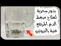 هذه البذورأعظم علاج لضغط الدم المرتفع أفضل طرق علاج ارتفاع ضغط الدم حقيقةضغط الدم وكيف خدعونا لسنوات