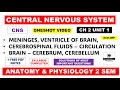 Unit 1 Central Nervous System CNS complete || Brain CSF Ventricles Meninges | hap 2nd Semester