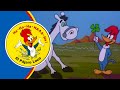 El amigo suertudo de Woody | El Pájaro Loco