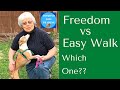 Freedom No Pull Harness vs Easy Walk: Which One To Choose