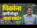 Water Budget : पिकांना किती पाण्याची गरज असते? | Ft. Satish Khade